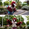 Macaw